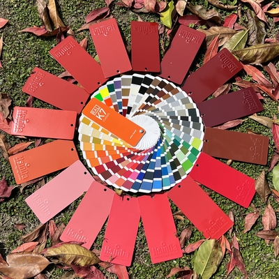 εσωτερικό Powder Coating Προσαρμοσμένα χρώματα επωξικό πολυεστέρα